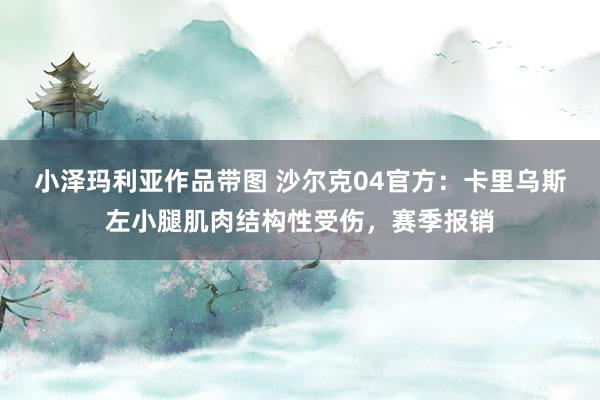 小泽玛利亚作品带图 沙尔克04官方：卡里乌斯左小腿肌肉结构性受伤，赛季报销