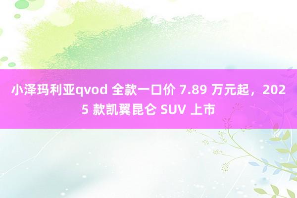 小泽玛利亚qvod 全款一口价 7.89 万元起，2025 款凯翼昆仑 SUV 上市