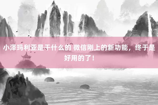 小泽玛利亚是干什么的 微信刚上的新功能，终于是好用的了！