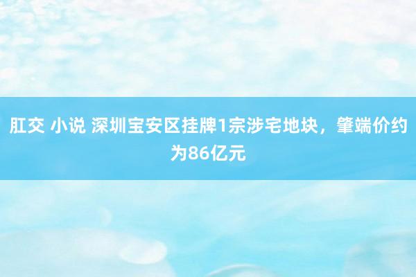 肛交 小说 深圳宝安区挂牌1宗涉宅地块，肇端价约为86亿元