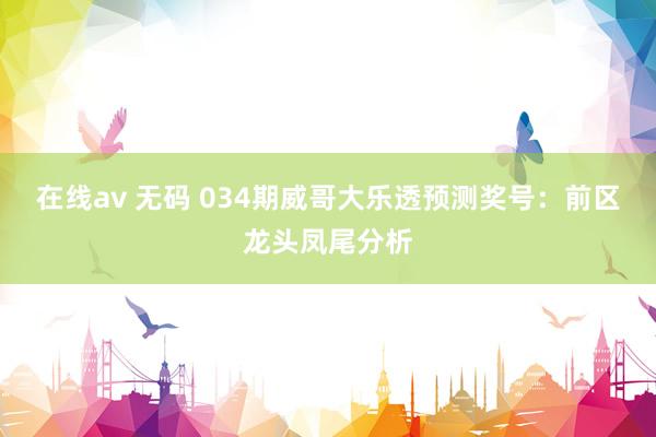 在线av 无码 034期威哥大乐透预测奖号：前区龙头凤尾分析