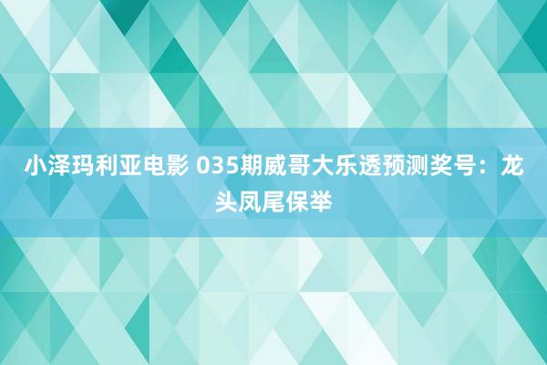 小泽玛利亚电影 035期威哥大乐透预测奖号：龙头凤尾保举
