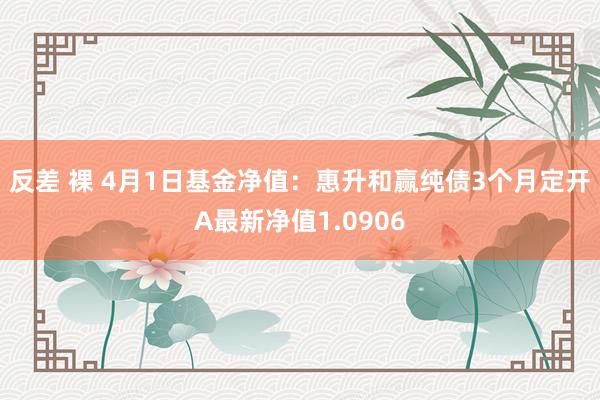 反差 裸 4月1日基金净值：惠升和赢纯债3个月定开A最新净值1.0906