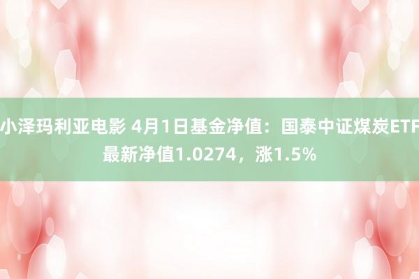 小泽玛利亚电影 4月1日基金净值：国泰中证煤炭ETF最新净值1.0274，涨1.5%