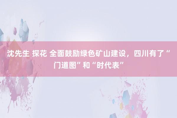 沈先生 探花 全面鼓励绿色矿山建设，四川有了“门道图”和“时代表”