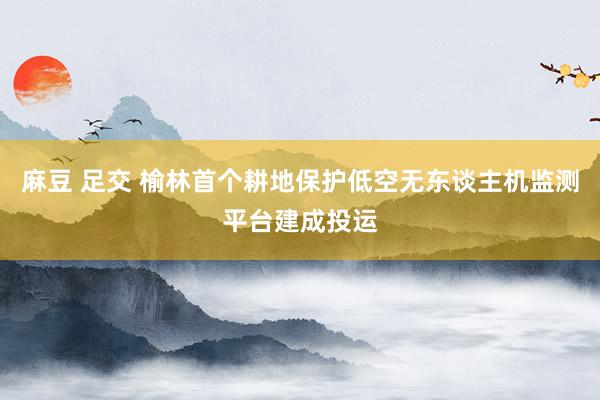 麻豆 足交 榆林首个耕地保护低空无东谈主机监测平台建成投运