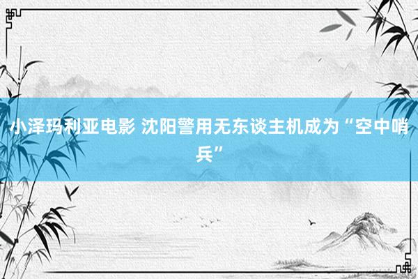 小泽玛利亚电影 沈阳警用无东谈主机成为“空中哨兵”