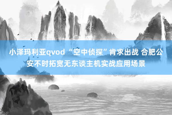 小泽玛利亚qvod “空中侦探”肯求出战 合肥公安不时拓宽无东谈主机实战应用场景
