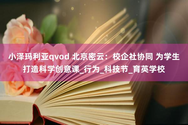 小泽玛利亚qvod 北京密云：校企社协同 为学生打造科学创意课_行为_科技节_育英学校