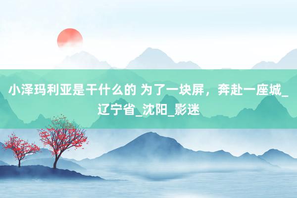 小泽玛利亚是干什么的 为了一块屏，奔赴一座城_辽宁省_沈阳_影迷