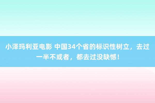 小泽玛利亚电影 中国34个省的标识性树立，去过一半不或者，都去过没缺憾！
