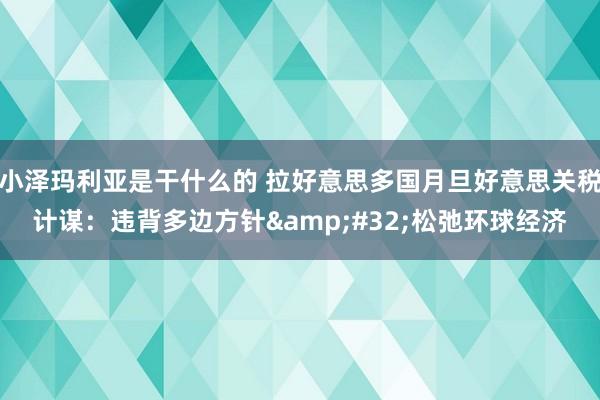小泽玛利亚是干什么的 拉好意思多国月旦好意思关税计谋：违背多边方针&#32;松弛环球经济
