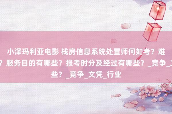 小泽玛利亚电影 栈房信息系统处置师何如考？难度大不大？服务目的有哪些？报考时分及经过有哪些？_竞争_文凭_行业