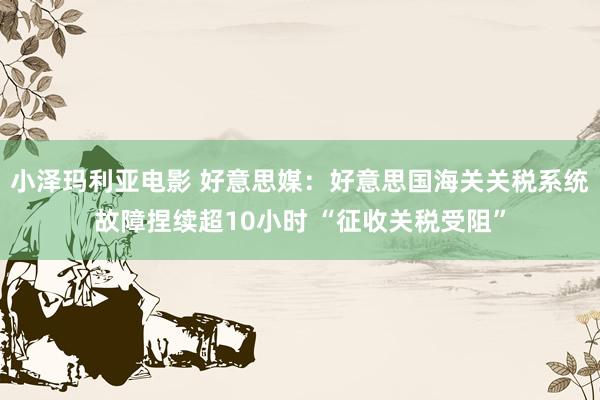 小泽玛利亚电影 好意思媒：好意思国海关关税系统故障捏续超10小时 “征收关税受阻”