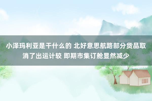小泽玛利亚是干什么的 北好意思航路部分货品取消了出运计较 即期市集订舱显然减少