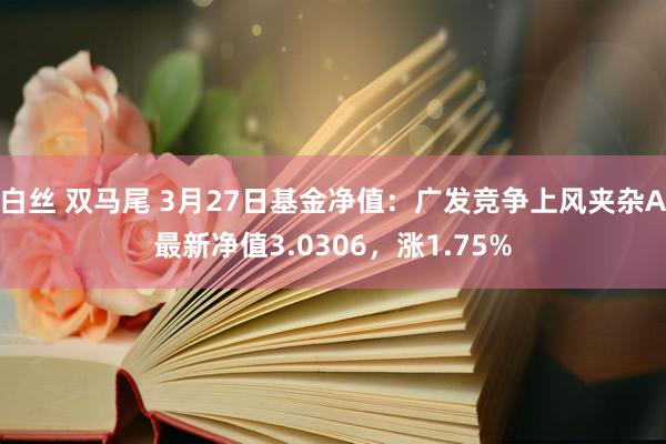 白丝 双马尾 3月27日基金净值：广发竞争上风夹杂A最新净值3.0306，涨1.75%