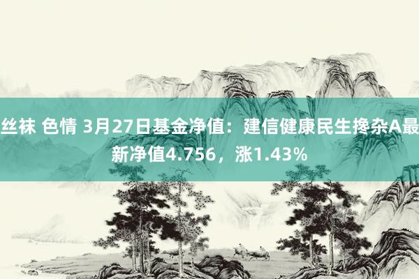 丝袜 色情 3月27日基金净值：建信健康民生搀杂A最新净值4.756，涨1.43%