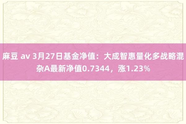 麻豆 av 3月27日基金净值：大成智惠量化多战略混杂A最新净值0.7344，涨1.23%