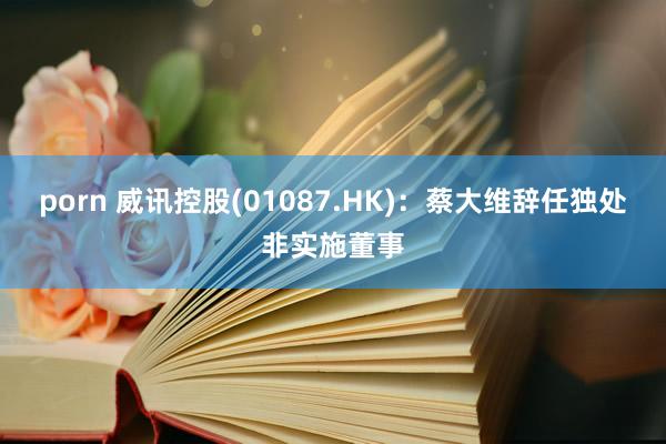 porn 威讯控股(01087.HK)：蔡大维辞任独处非实施董事