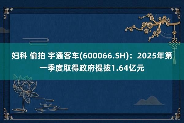 妇科 偷拍 宇通客车(600066.SH)：2025年第一季度取得政府提拔1.64亿元