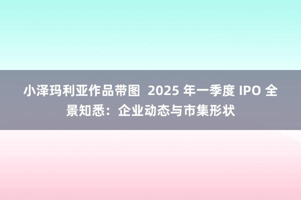 小泽玛利亚作品带图  2025 年一季度 IPO 全景知悉：企业动态与市集形状