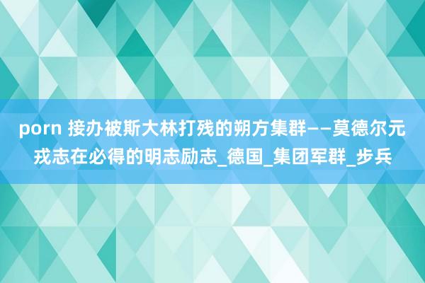 porn 接办被斯大林打残的朔方集群——莫德尔元戎志在必得的明志励志_德国_集团军群_步兵