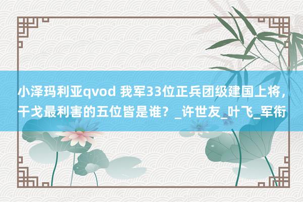 小泽玛利亚qvod 我军33位正兵团级建国上将，干戈最利害的五位皆是谁？_许世友_叶飞_军衔