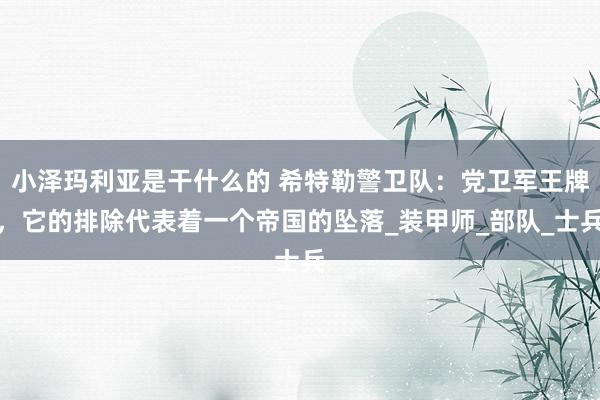 小泽玛利亚是干什么的 希特勒警卫队：党卫军王牌，它的排除代表着一个帝国的坠落_装甲师_部队_士兵