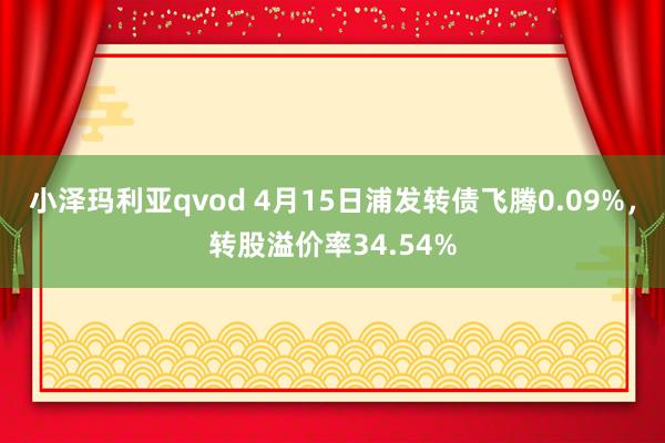 小泽玛利亚qvod 4月15日浦发转债飞腾0.09%，转股溢价率34.54%