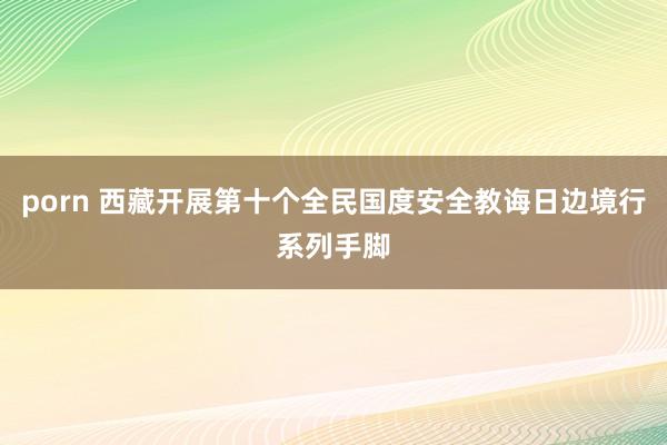 porn 西藏开展第十个全民国度安全教诲日边境行系列手脚