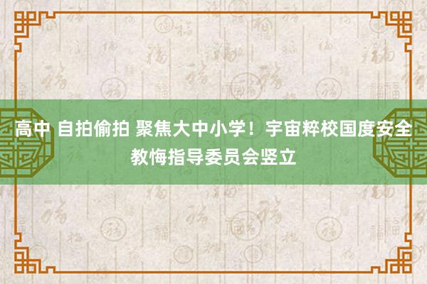 高中 自拍偷拍 聚焦大中小学！宇宙粹校国度安全教悔指导委员会竖立