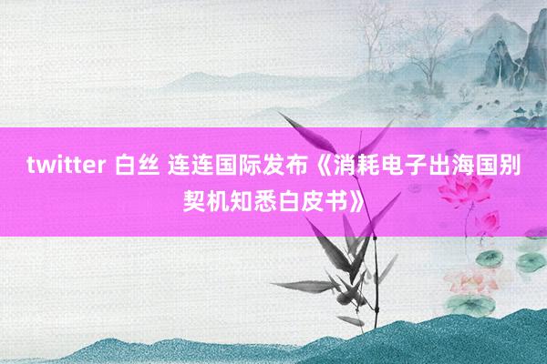 twitter 白丝 连连国际发布《消耗电子出海国别契机知悉白皮书》