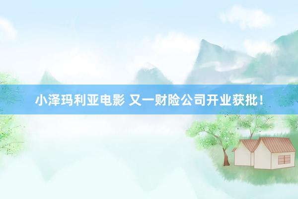 小泽玛利亚电影 又一财险公司开业获批！