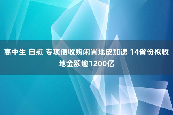 高中生 自慰 专项债收购闲置地皮加速 14省份拟收地金额逾1200亿