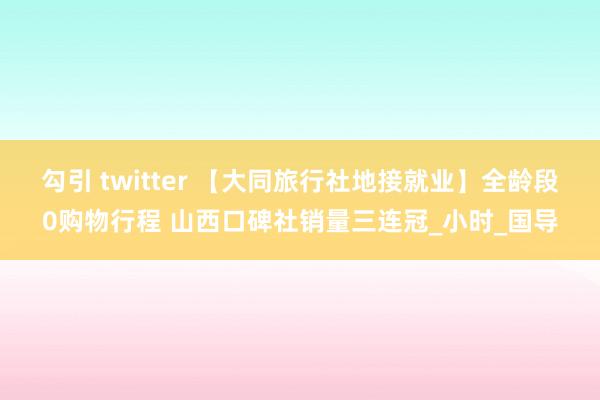 勾引 twitter 【大同旅行社地接就业】全龄段0购物行程 山西口碑社销量三连冠_小时_国导