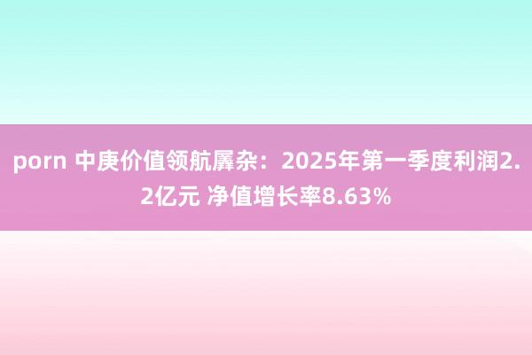 porn 中庚价值领航羼杂：2025年第一季度利润2.2亿元 净值增长率8.63%