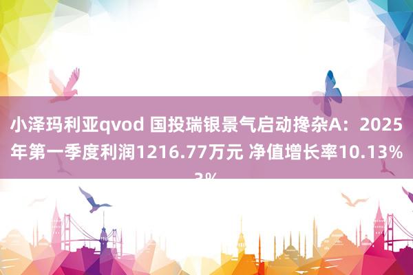 小泽玛利亚qvod 国投瑞银景气启动搀杂A：2025年第一季度利润1216.77万元 净值增长率10.13%