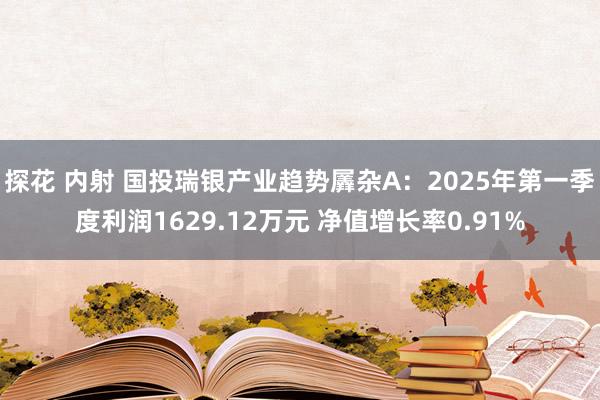 探花 内射 国投瑞银产业趋势羼杂A：2025年第一季度利润1629.12万元 净值增长率0.91%