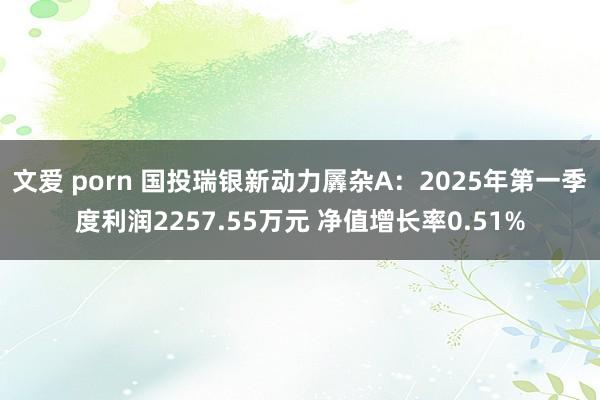 文爱 porn 国投瑞银新动力羼杂A：2025年第一季度利润2257.55万元 净值增长率0.51%