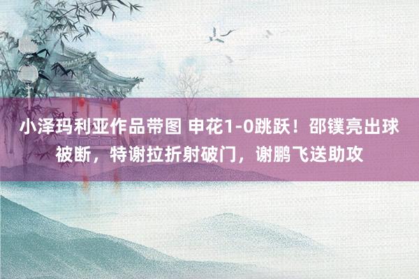小泽玛利亚作品带图 申花1-0跳跃！邵镤亮出球被断，特谢拉折射破门，谢鹏飞送助攻
