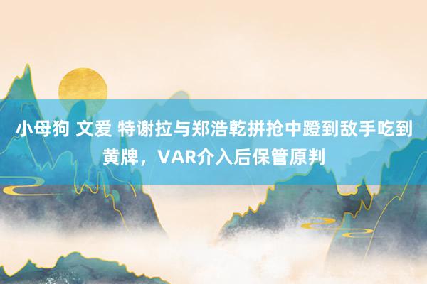 小母狗 文爱 特谢拉与郑浩乾拼抢中蹬到敌手吃到黄牌，VAR介入后保管原判