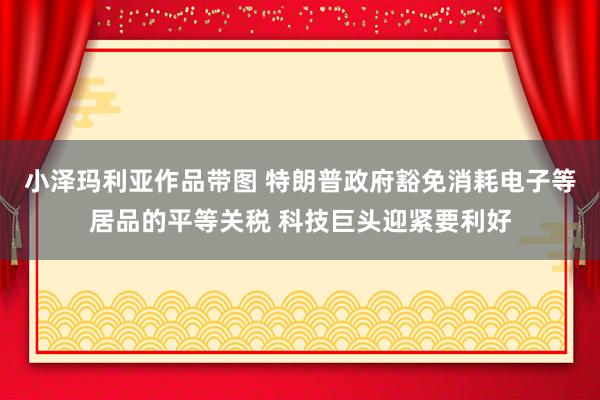 小泽玛利亚作品带图 特朗普政府豁免消耗电子等居品的平等关税 科技巨头迎紧要利好