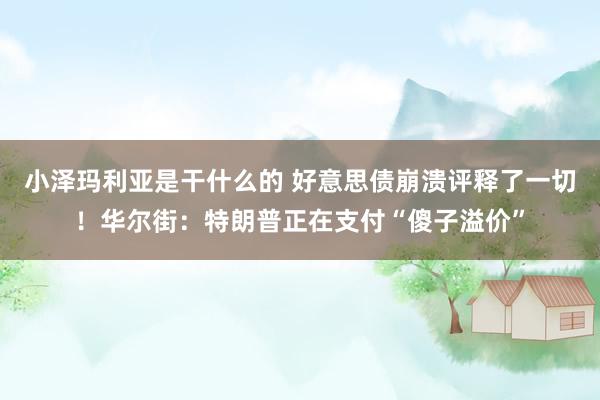 小泽玛利亚是干什么的 好意思债崩溃评释了一切！华尔街：特朗普正在支付“傻子溢价”