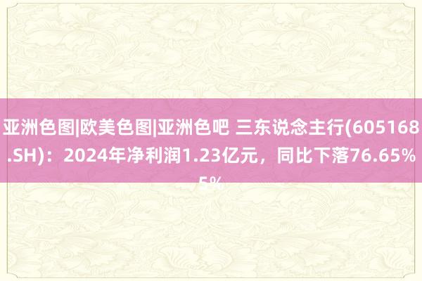 亚洲色图|欧美色图|亚洲色吧 三东说念主行(605168.SH)：2024年净利润1.23亿元，同比下落76.65%