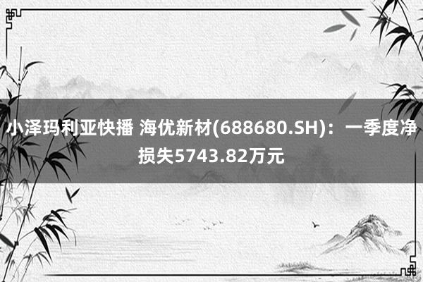 小泽玛利亚快播 海优新材(688680.SH)：一季度净损失5743.82万元