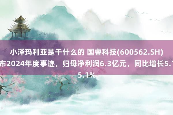 小泽玛利亚是干什么的 国睿科技(600562.SH)发布2024年度事迹，归母净利润6.3亿元，同比增长5.1%