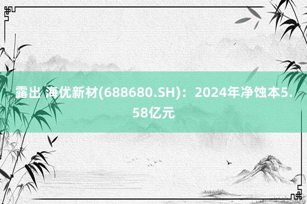 露出 海优新材(688680.SH)：2024年净蚀本5.58亿元