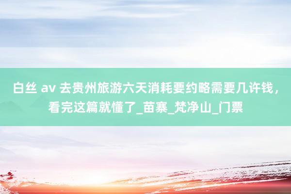白丝 av 去贵州旅游六天消耗要约略需要几许钱，看完这篇就懂了_苗寨_梵净山_门票