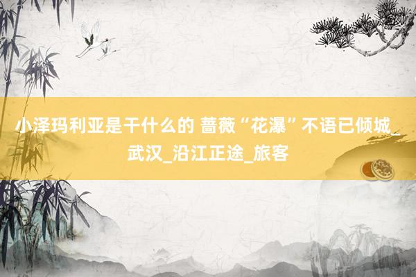 小泽玛利亚是干什么的 蔷薇“花瀑”不语已倾城_武汉_沿江正途_旅客