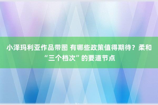 小泽玛利亚作品带图 有哪些政策值得期待？柔和“三个档次”的要道节点